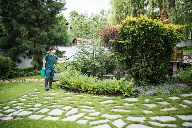 Best Best Pest Control Companies  in Lyman, WY