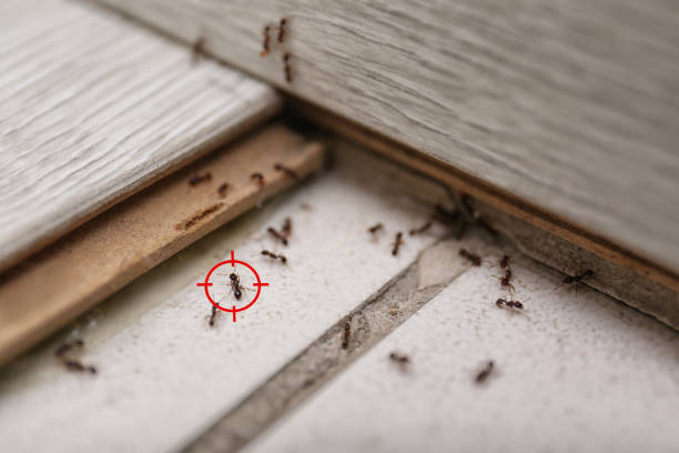 Best Best Pest Control Companies  in Lyman, WY