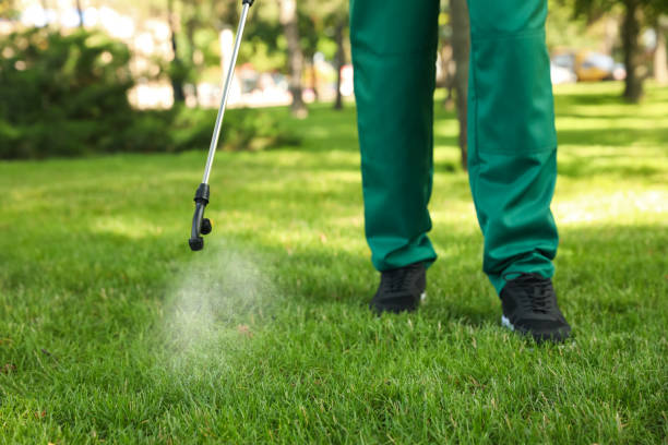 Best Cockroach Control Services  in Lyman, WY