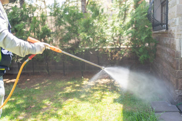 Flea Control Services in Lyman, WY