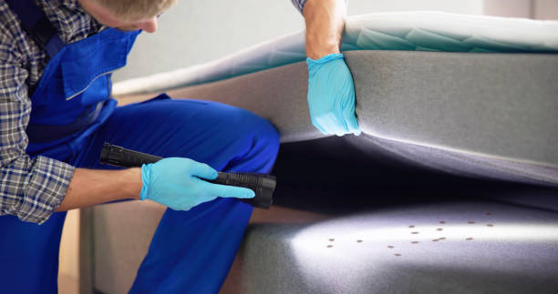 Professional Pest Control in Lyman, WY