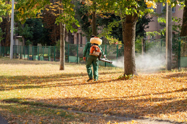 Best Best Pest Control Companies  in Lyman, WY