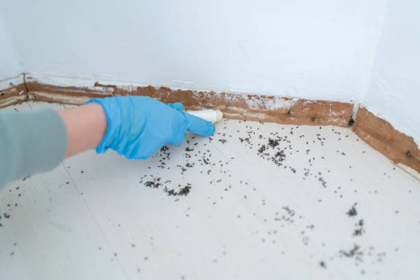 Best Pest Prevention Services  in Lyman, WY