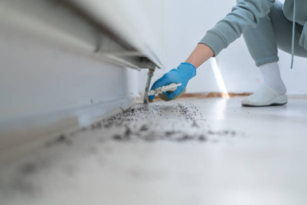 Best Bed Bug Extermination  in Lyman, WY